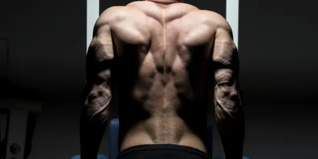 Body-Recomposition-Main